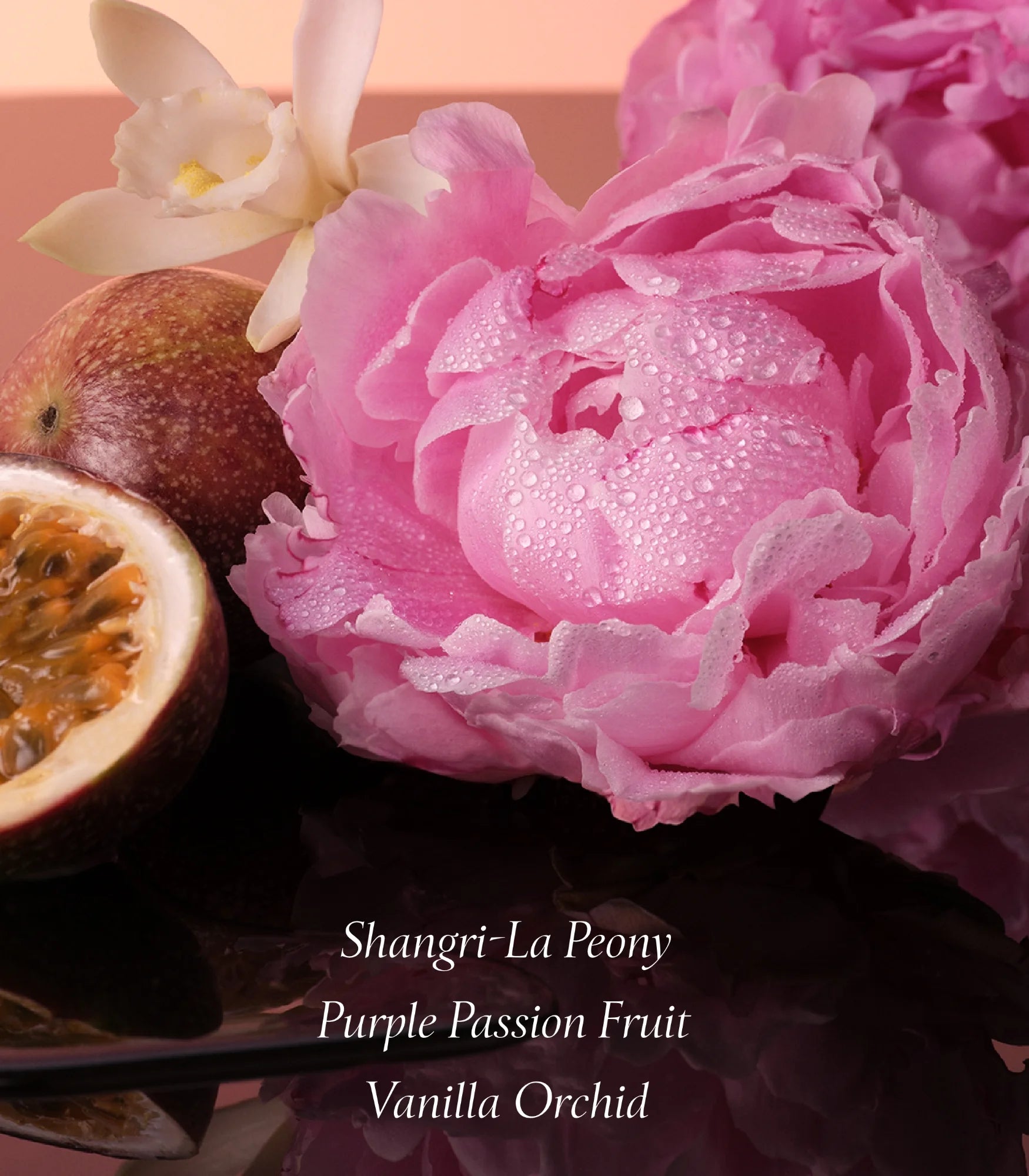 Bombshell Fragrance Body Lotion, Notes of Purple Passion Fruit, Shangri-La Peony & Vanilla Orchid (8.4 Oz)